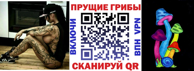 Псилоцибиновые грибы Psilocybe  закладка  Олонец 